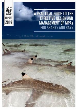 A Practical Guide to Effective Design and Management of Mpas For