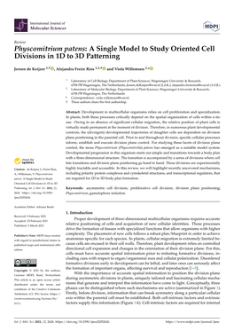 Physcomitrium Patens: a Single Model to Study Oriented Cell Divisions in 1D to 3D Patterning