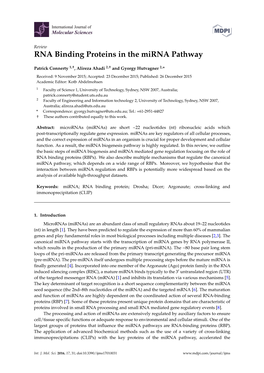 RNA Binding Proteins in the Mirna Pathway