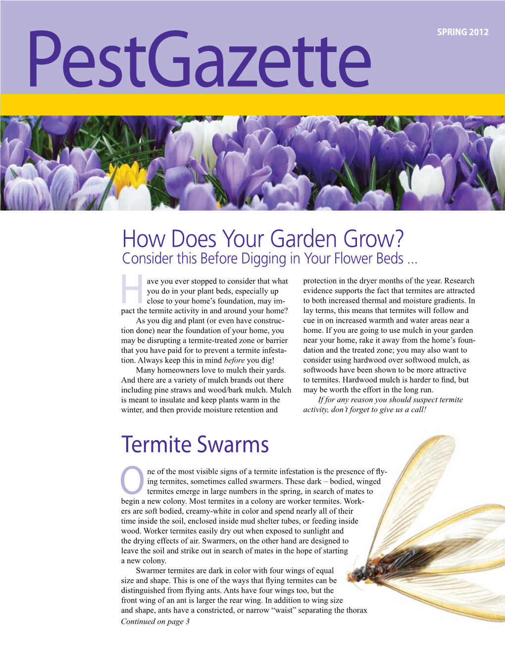 Termite Swarms How Does Your Garden Grow?