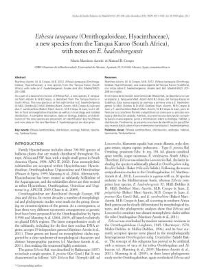 Una Nueva Especie De Tanqua Karoo (Sudáfrica), Africa), with Notes on E