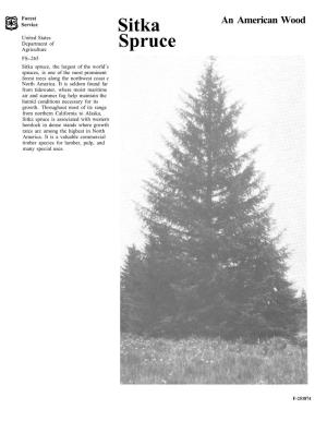 Sitka Spruce, the Largest of the World’S Spruces, Is One of the Most Prominent Forest Trees Along the Northwest Coast C North America
