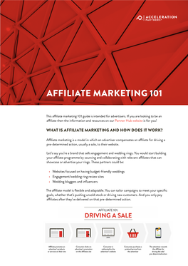 Download the Affiliate Marketing 101 PDF Here