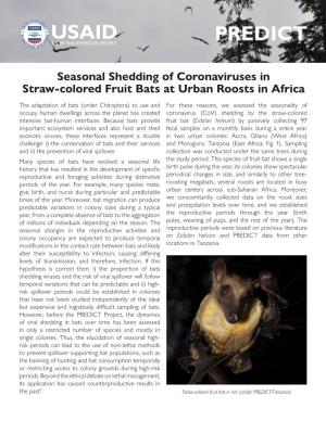 Seasonal Shedding of Coronaviruses in Straw-Colored Fruit Bats at Urban Roosts in Africa