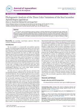 Phylogenetic Analysis of the Three Color Variations of the Sea Cucumber Apostichopus Japonicus