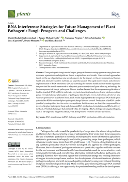 RNA Interference Strategies for Future Management of Plant Pathogenic Fungi: Prospects and Challenges