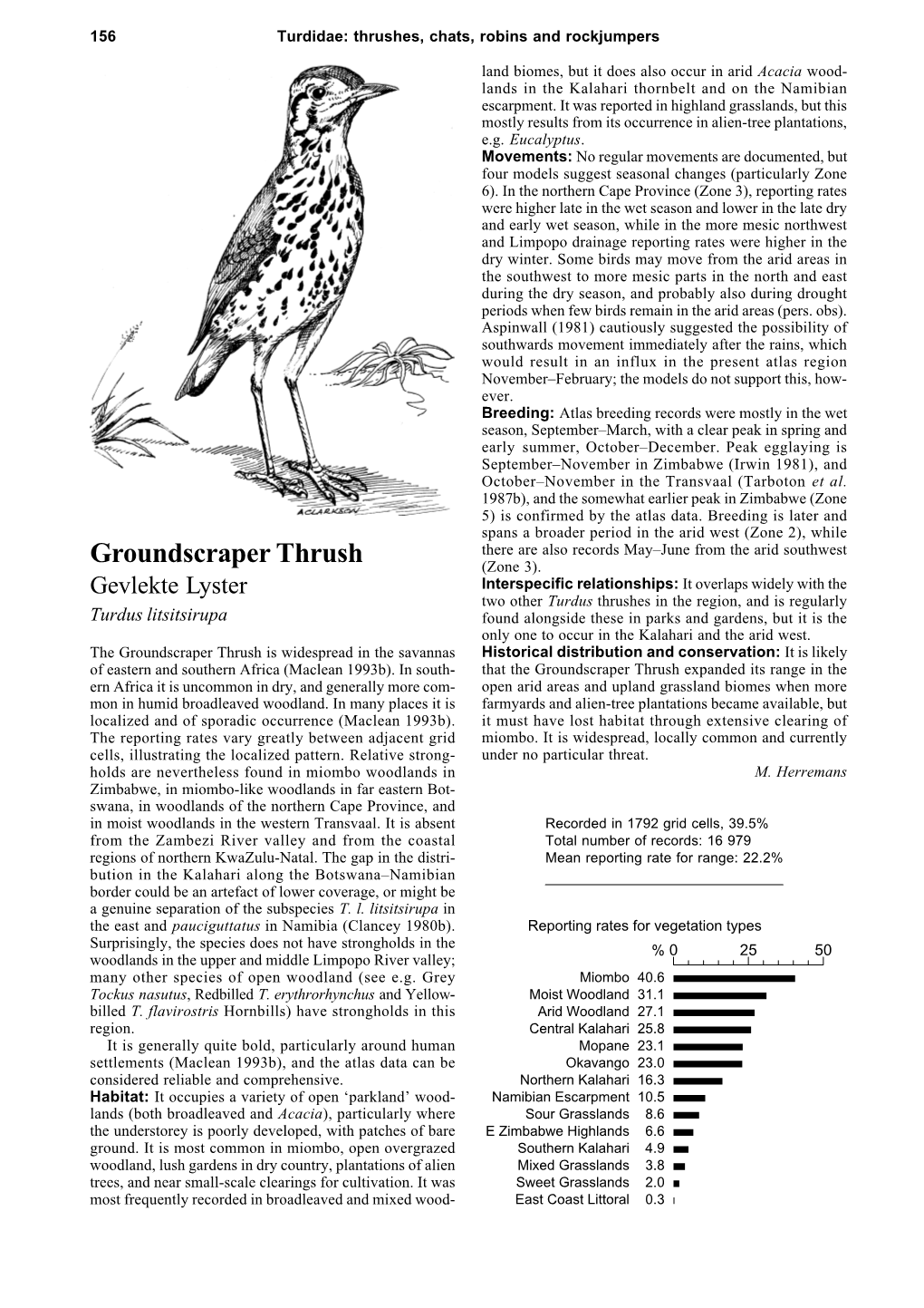 Groundscraper Thrush (Zone 3)