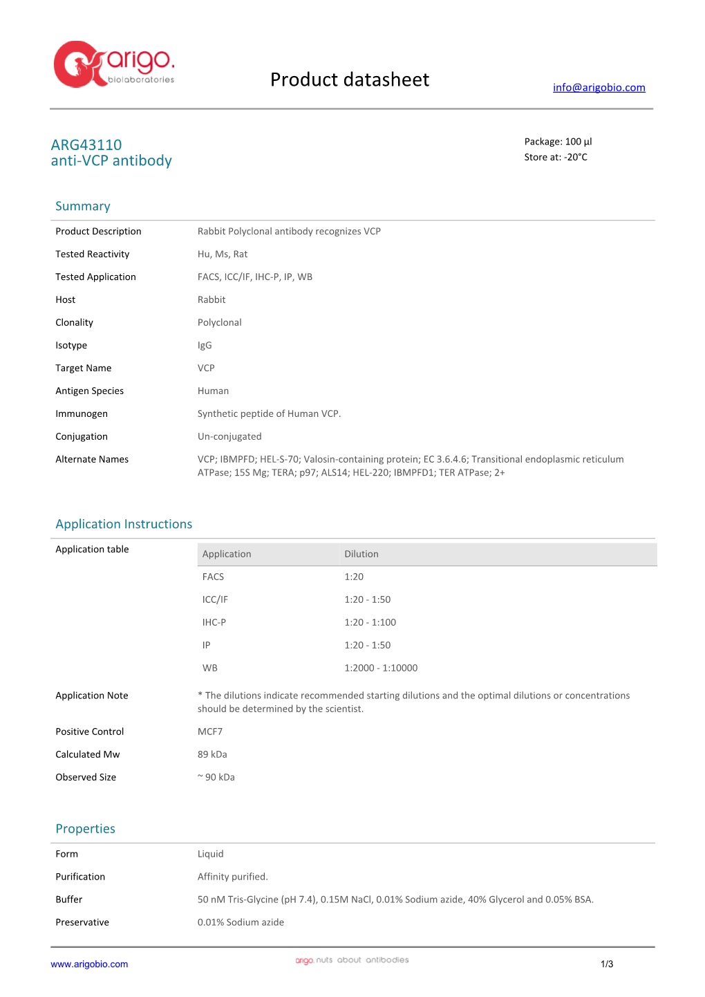 Anti-VCP Antibody (ARG43110)