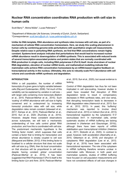 Nuclear RNA Concentration Coordinates RNA Production with Cell Size in Human Cells