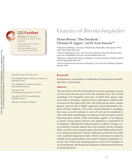 Genetics of Borrelia Burgdorferi