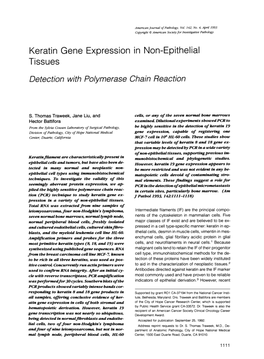 Keratin Gene Expression in Non-Epithelial Tissues Detection with Polymerase Chain Reaction
