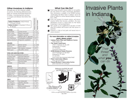 Invasive Plants in Indiana