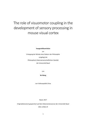 The Role of Visuomotor Coupling in the Development of Sensory Processing in Mouse Visual Cortex