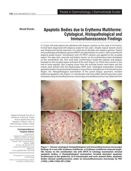 Apoptotic Bodies Due to Erythema Multiforme: Cytological, Histopathological and Immunofluorescence Findings
