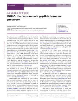 60 YEARS of POMC: POMC: the Consummate Peptide Hormone