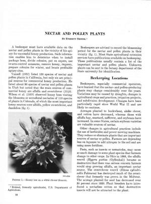 Nectar and Pollen Plants