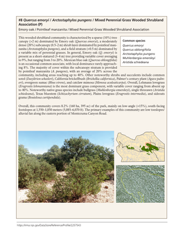 Quercus Emoryi / Arctostaphylos Pungens / Mixed Perennial Grass