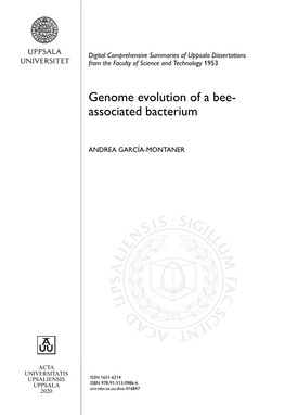 Genome Evolution of a Bee- Associated Bacterium