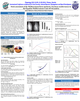 Stock Assessment of the Mediterranean Horse Mackerel