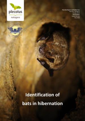 Identification of Bats in Hibernation