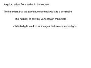 A Quick Review from Earlier in the Course. to the Extent That We Saw Development It Was As a Constraint