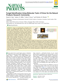 Fungal Identification Using Molecular Tools