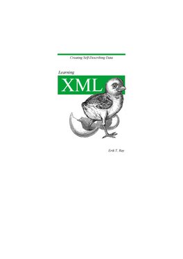 Learning XML.Pdf