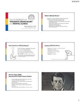 Causes of Mental Illness Phineas Gage (1848)