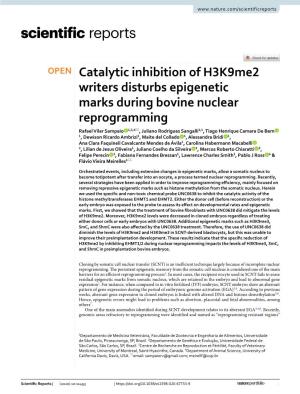 Catalytic Inhibition of H3k9me2 Writers Disturbs Epigenetic Marks