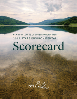 2019 State Environmental
