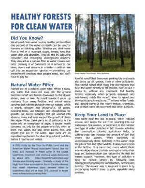 Healthy Forests for Clean Water