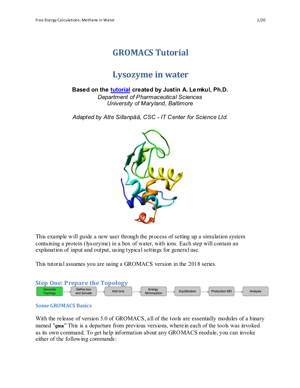 GROMACS Tutorial Lysozyme in Water
