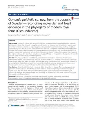 Osmunda Pulchella Sp. Nov. from the Jurassic of Sweden