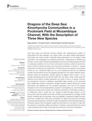 Dragons of the Deep Sea: Kinorhyncha Communities in a Pockmark Field at Mozambique Channel, with the Description of Three New Species