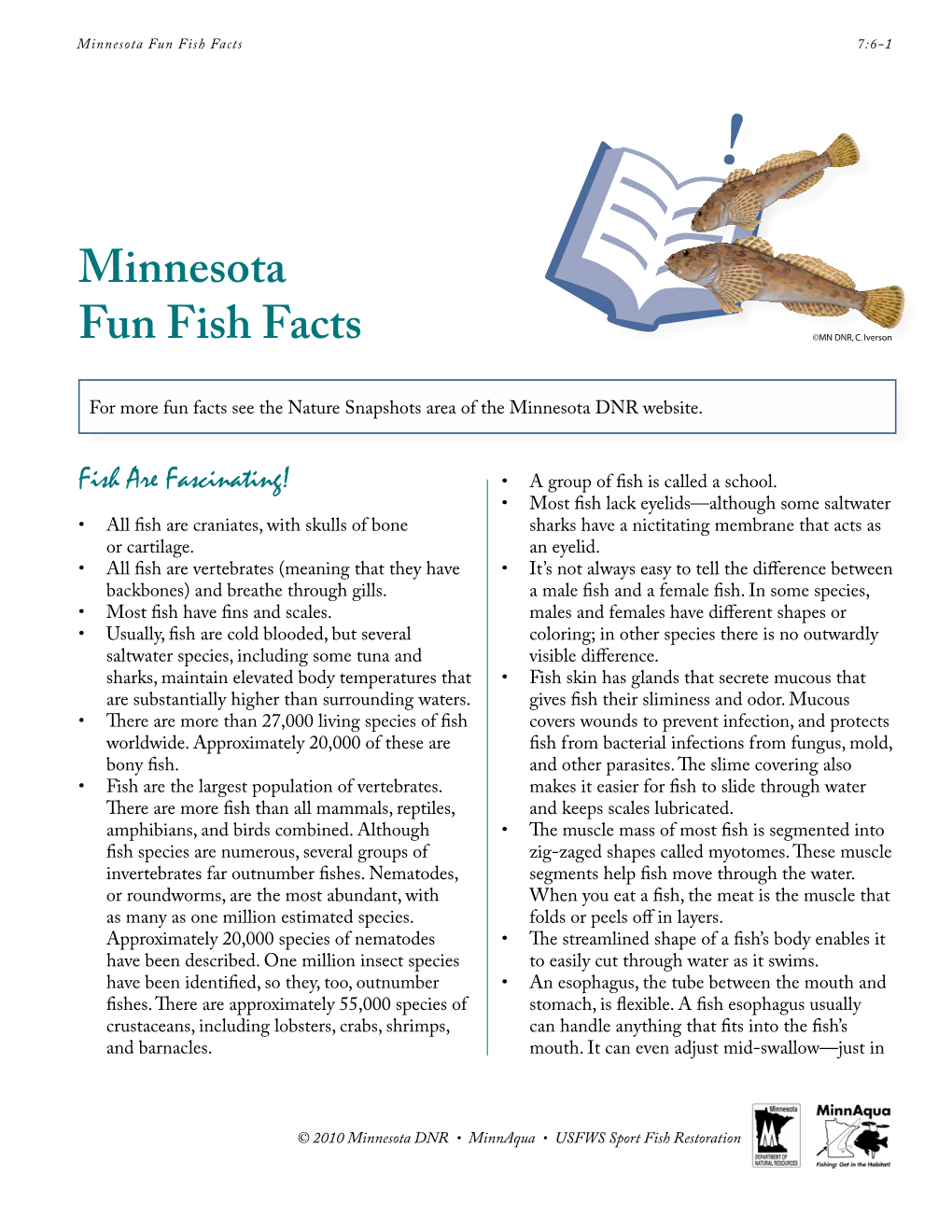 Minnesota Fun Fish Facts 7:6-1