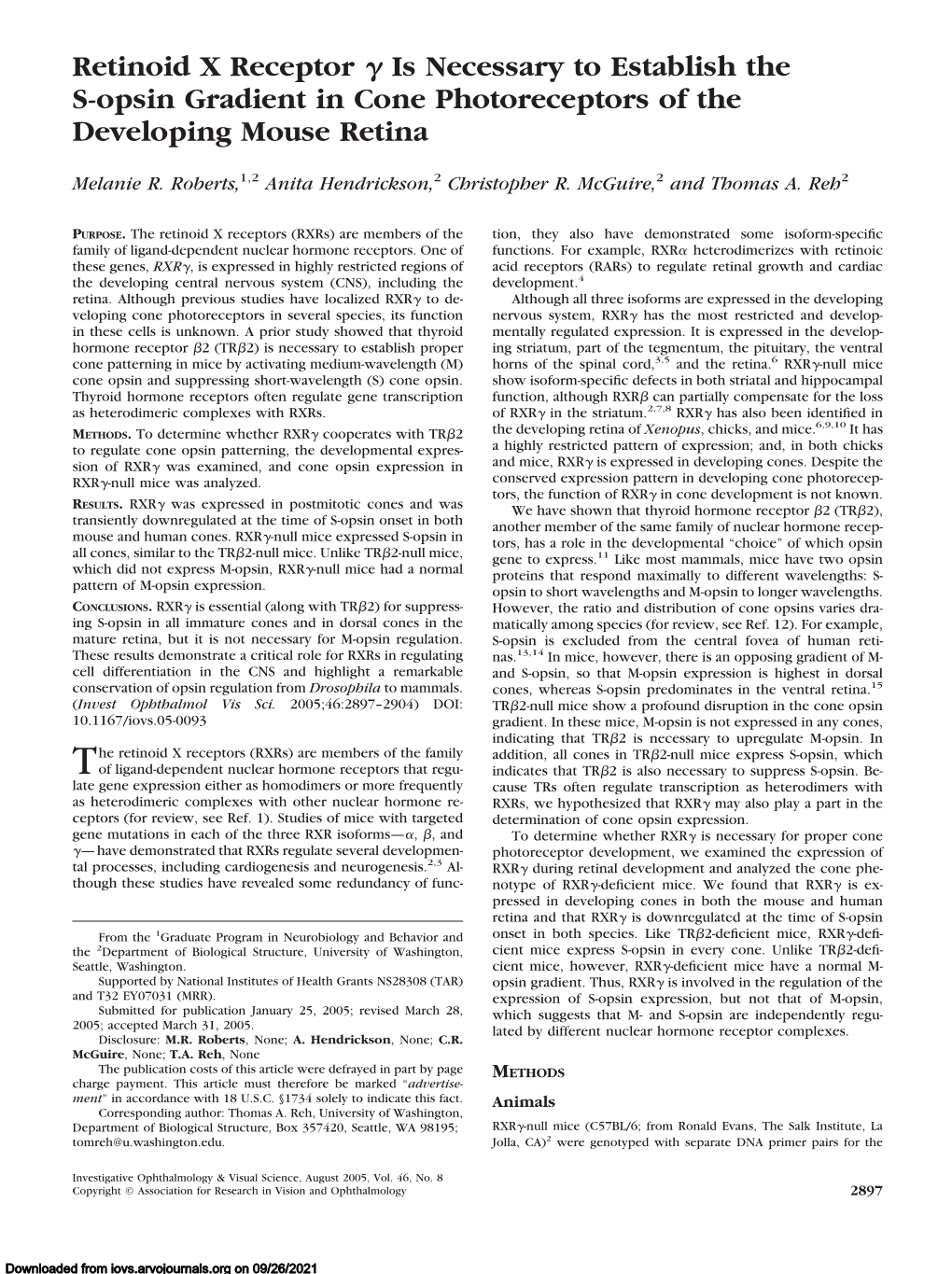 Retinoid X Receptor Is Necessary to Establish the S-Opsin Gradient In