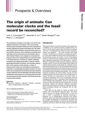 The Origin of Animals: Can Molecular Clocks and the Fossil Record Be Reconciled?