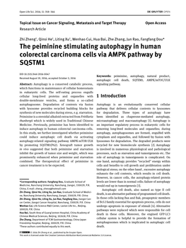 The Peiminine Stimulating Autophagy in Human Colorectal Carcinoma Cells Via AMPK Pathway by SQSTM1