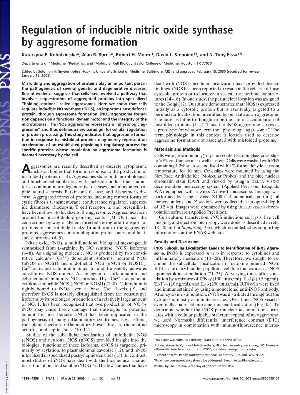 Regulation of Inducible Nitric Oxide Synthase by Aggresome Formation