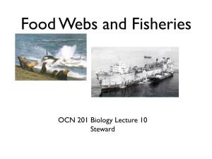 Food Webs and Fisheries