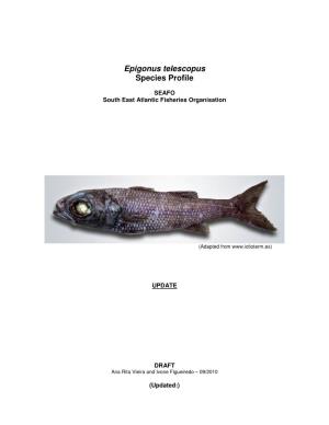 Species Profile: Black Cardinalfish