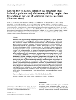 Genetic Drift Vs. Natural Selection in a Long-Term Small