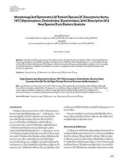 Morphology and Systematics of Turkish Species of Exeurytoma