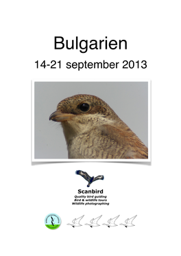 1 Bulgarien 14-21 September 2013