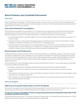 Brand Protection and Counterfeit Enforcement Overview