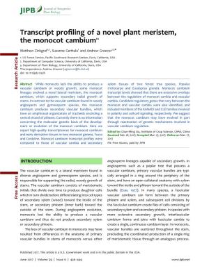 Transcript Profiling of a Novel Plant Meristem, the Monocot Cambium
