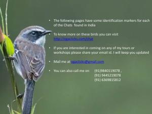 • the Following Pages Have Some Identification Markers for Each of the Chats Found in India • to Know More on These Birds Y
