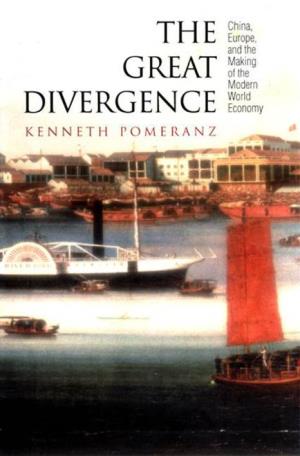 The Great Divergence the Princeton Economic History