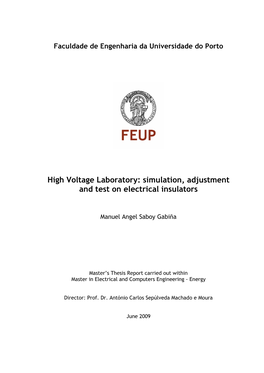 High Voltage Laboratory: Simulation, Adjustment and Test on Electrical Insulators