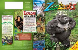 Zoobooks Apes.Pdf